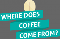 where does coffee come from